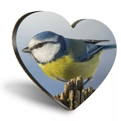 £3.99 • Buy Heart MDF Coasters - Blue Tit Bird Garden Birds  #3119