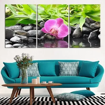 Pink Flower Black Stones 3 Piece Canvas Print Wall Art Poster Home Decoration • $79.41