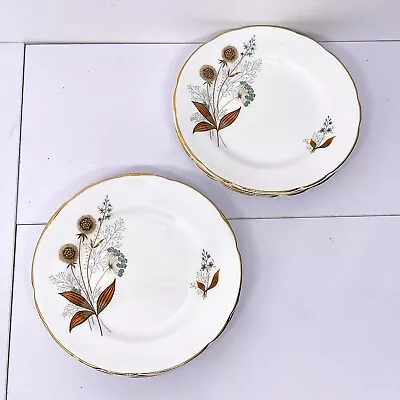 £16.99 • Buy Set Of 6 Elegant Regency Bone China Side Plates, Dinnerware, Vintage Tableware