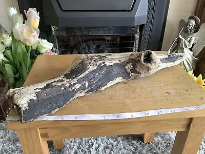 £4.99 • Buy Driftwood , Aquarium, Vivarium, Art, Craft,shop Window/Floral Display,