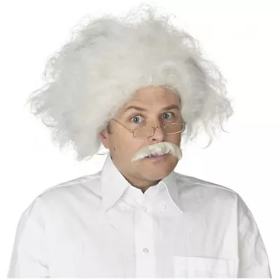 Albert Einstein Wig Mustache Adult Mad Scientist Costume Halloween Fancy Dress • $13.41