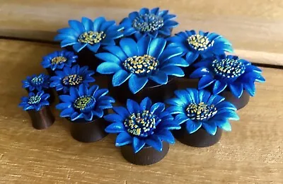 PAIR Blue Leather Flower Plugs Tunnels Gauges Earlets Body Jewelry • $17.95