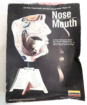 LINDBERG 1992 Nose Mouth Unassembled Plastic Model Kit *damaged Box* • £18.99