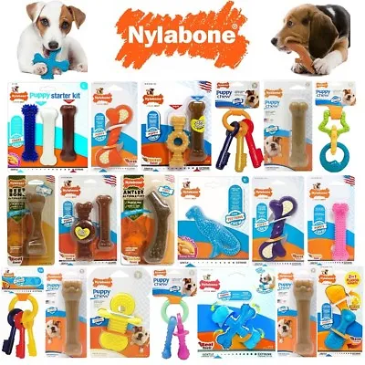 £8.29 • Buy Puppy NYLABONE Tough Dog Teething Chew Toys Bone Ring Dental Health Toy Chews