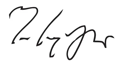 Mark Knopfler Signature Autograph VINYL DECAL Fender Dire Straits Guitar • $3.59
