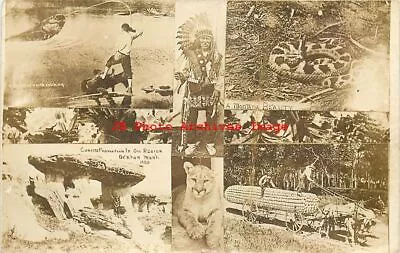 MT Montana RPPC Multi-View Native American Indian Exaggeration Photo • $22.99