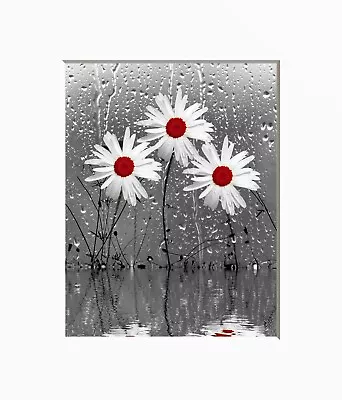 Yellow Bathroom Bedroom Daisy Flowers Matted Wall Art Yellow Pictures (Handmade) • $16.99