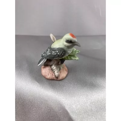 Bird Figurine Ruby Crowned Kinglet Bisque Porcelain Realistic Detail Miniature V • $12