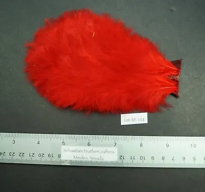 One Red/Orange Dyed Hen Rump Mini-Marabou Patch Lot-SF 153 • $4.99