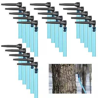 20Set Maple Syrup Tapping Kit - Maple Tree Taps And Food Grade Tubing Drop Lines • $36.99