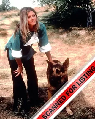 The Bionic Woman 1976 Tv Show Lindsay Wagner With Dog 8X10 PHOTO #1803 • $12.95