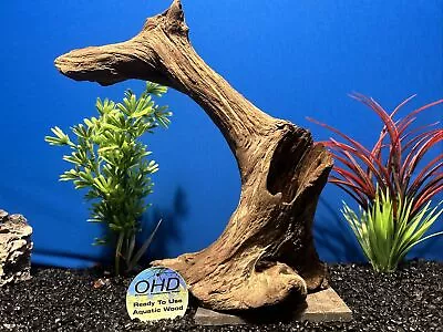 Real Aquarium Driftwood Fish Tank Wood Aquarium Terrarium Vivarium Medium Stump • $25