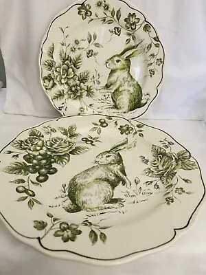 2 Pieces Maxcera Green Toile Rabbit & Roses Dinner And Salad Plates • $24