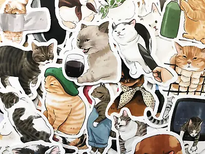 50 Fun Cat Kitty Pet Meme Stickers Decals For Laptops Phone Journal Mix Set • $5.49