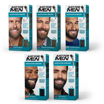 $32.99 • Buy Just For Men Mustache&beard Brush-in Color Gel Application Kit 3 Lot (5 Colors)