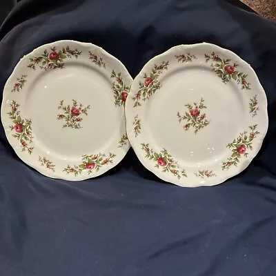 Johann Haviland Traditions China MOSS ROSE -Set Of Two Salad Plates Never Used! • $11.99