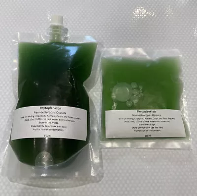 Special Dual Pack Live Marine Phytoplankton Nannochloropsis Oculata 500ml+100ml • £9.95