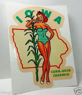 Iowa Pinup Vintage Style Travel Decal Vinyl Sticker Luggage Label • $4.69