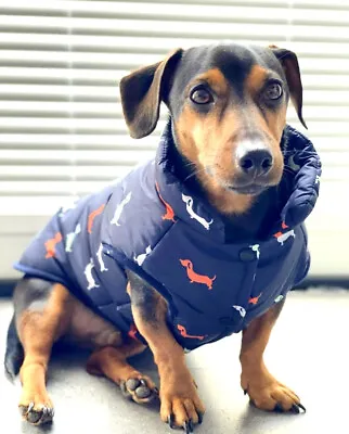 Sausage Dog Box Dachshund Print Navy Fleece Puffer Coat • £24.99