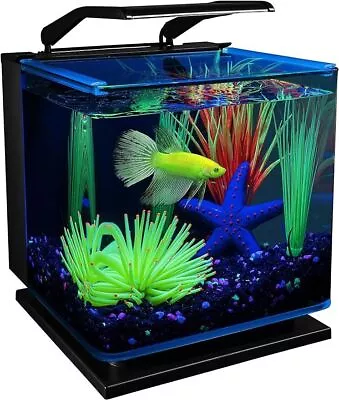 3-Gallons Clear Glass Betta Fish Tank Aquarium Kit LED Lighting System Indoor US • $89.99