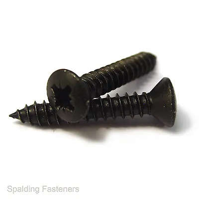 Black Raised Countersunk Pozi Self Tapping Screws No4 6 8 10 & 12. 3/8-1 1/2  • £3.02