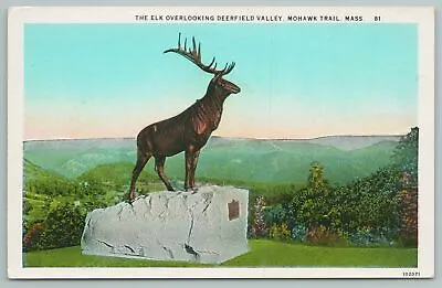 $7.99 • Buy Mohawk Trail Massachusetts~Elk Over Deerfield Valley~Vintage Postcard