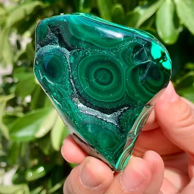 219g  Natural Glossy Malachite Transparent Cluster Rough Mineral Sample • $4.69