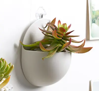 £5.08 • Buy Wall Mounted Jars Vase Potted Plant Hydroponics Hanging Aquarium Flower Holder