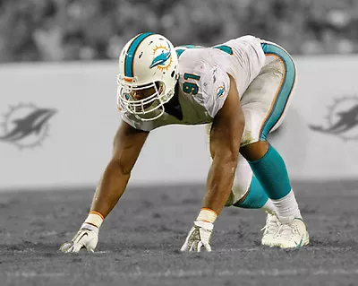 Miami Dolphins CAMERON WAKE Glossy 8x10 Photo Spotlight Football Print Poster • $5.49