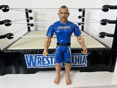 Chuck Liddell Figure Jakks UFC MMA Legend Wrestling WWE COMBINED P&P • £8.99