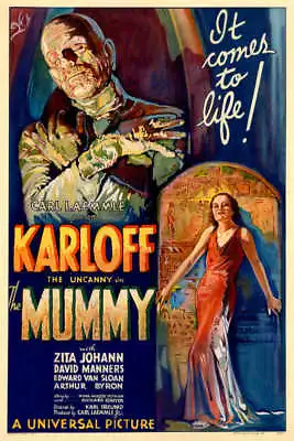 1932 THE MUMMY WITH BORIS KARLOFF VINTAGE HORROR MOVIE POSTER PRINT 54x36 9MIL • $89.95