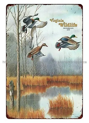 Wall Decor 1979 Virginia Wildlife Mag Cover Art Mallard Duck Metal Tin Sign • $18.92