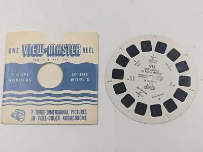 Vintage View-Master Reel 913 Wild Animals Of North America In Captivity • $12.99