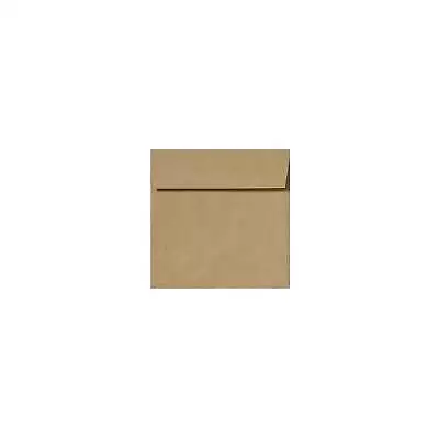 LUX 6 X 6 Square Envelopes 50/Pack Grocery Bag (8525-GB-50) • $20.65