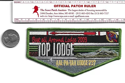 Lodge 237 Aal-Pa-Tah 2009 Best All Around Lodge Flap • $2.99