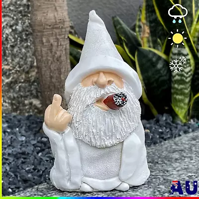 Smoking Wizard Big Tongue Gnome Naughty Garden Gnome Ornaments Indoor Or Outdoor • $18.50