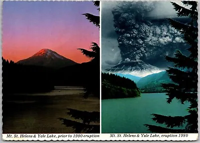 Postcard: Mt. St. Helens Before & After 1980 Eruption A223 • $3.49