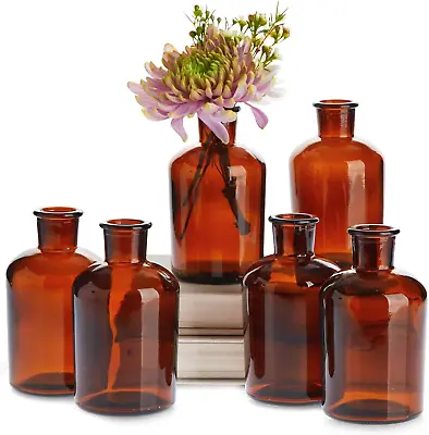 6 Pack Small Glass Vases For Centerpieces Amber 7.5 Oz Propagation Jars For Flo • $27.49