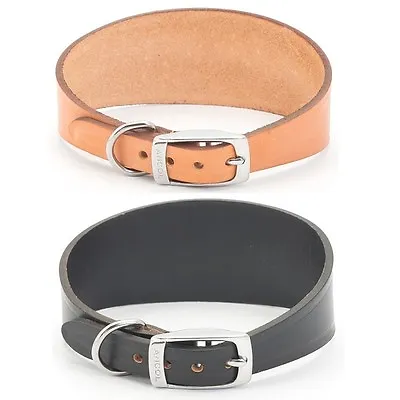 £7.79 • Buy Ancol Greyhound Leather Dog Collar Whippet & Lurcher Tan Or Black Puppy Comfort