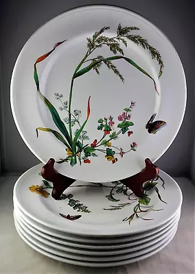 7 Minton Antique Aesthetic Movement Insect Floral Plates • $346.50