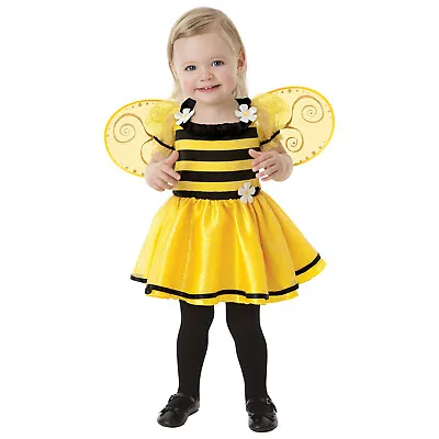 Girls Little Stinger Bumble Bee Baby Costume 0-36 Months Fancy Dress Outfit • £15.99