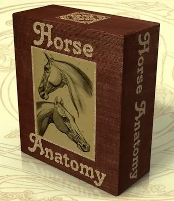 HORSE ANATOMY - 28 Vintage Books On DVD EQUINE VETERINARY ANATOMY Horses • $8.20
