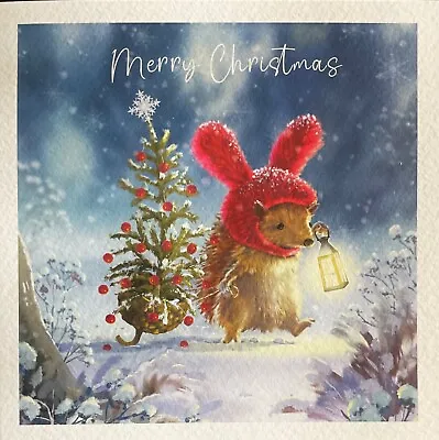 Charity Christmas Card ~ A Hedgehog Christmas ~ Single Card ~see Photos & Desc • £2.20
