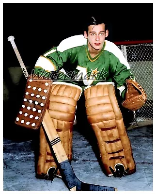 NHL Minnesota North Stars Rookie Goalie Gilles Gilbert Color 8 X 10 Photo Pic • $5.99