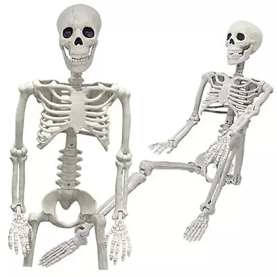 36  Skeleton Halloween Decorations 3FT Realistic Full Body Movable Posable  • $42.48