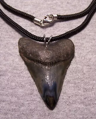 Megalodon Shark Tooth Necklace 2 1/4  Fossil Teeth Pendant Jaw Megalodon GEM • $45