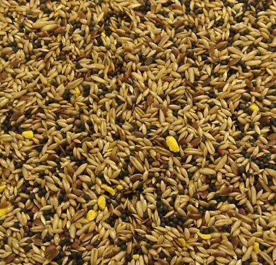 Canary Finest Supreme Mix Seed Feed 10kg • £24.99