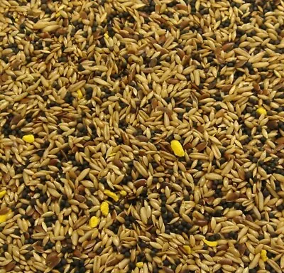 Canary Finest Supreme Mix Seed Feed 5kg • £15.99