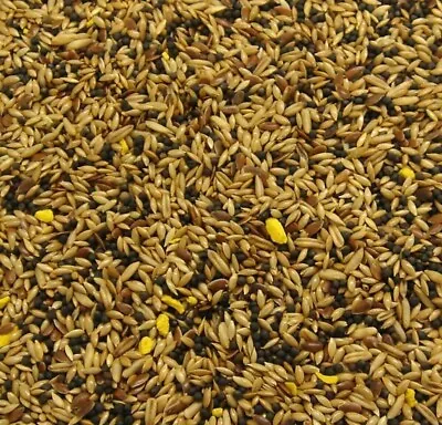 Canary  Finest Supreme Seed Feed 1.8kg • £8.39