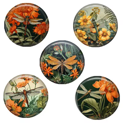 SET OF 5 Floral Dragonfly Magnets Vintage Botanical Art Print Button Style 1.25  • $12.71